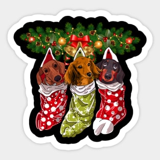 Dachshunds Socks Christmas Gifts Dogs Lovers Sticker